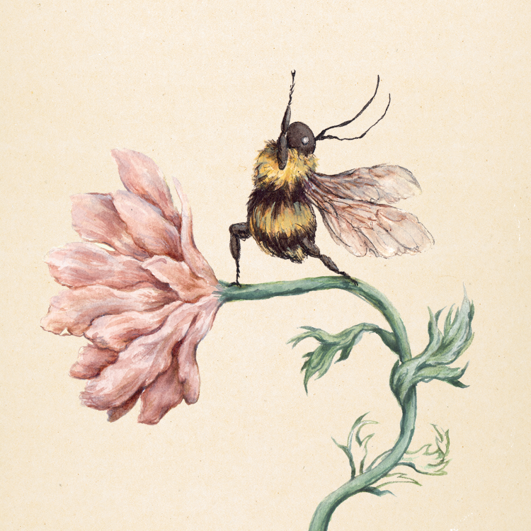 Tatiana19796's tweet photo. 'Yogi Bee' by GreenFoxIllustration https://t.co/xytoi01Ln9 https://t.co/24OByHnQw1