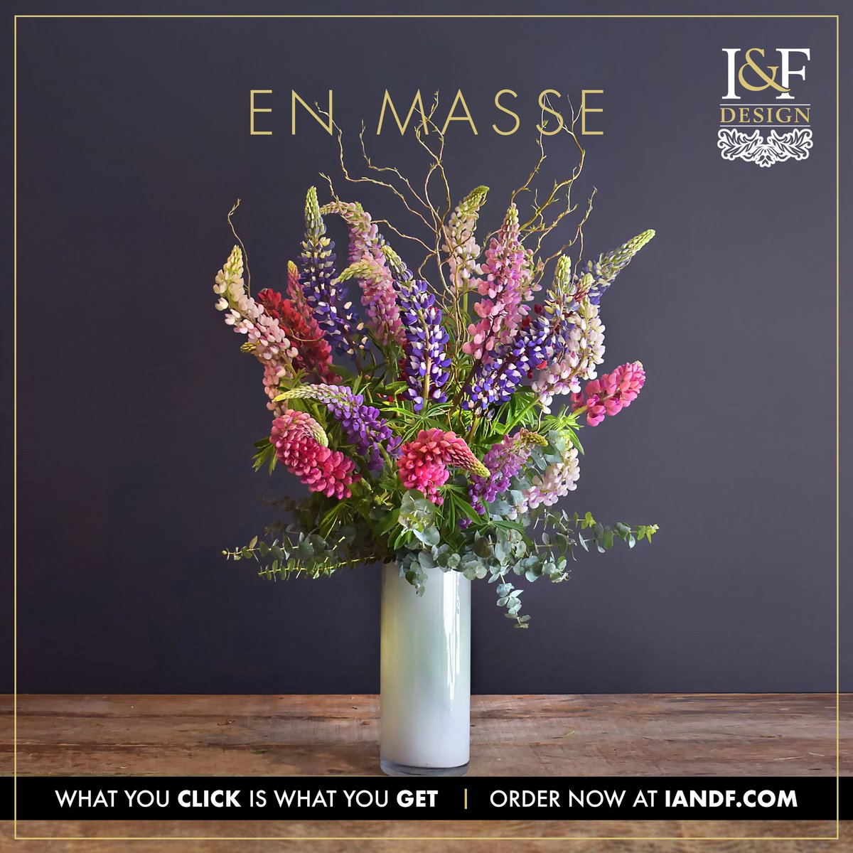 Lupins Skyline—En Masse

1 Exclusive Arrangement Ready For Delivery:
iandf.com/product/lupins…

#iandfdesign #enmasse #flowerdelivery #yqg #florist #springflowers #lupins
