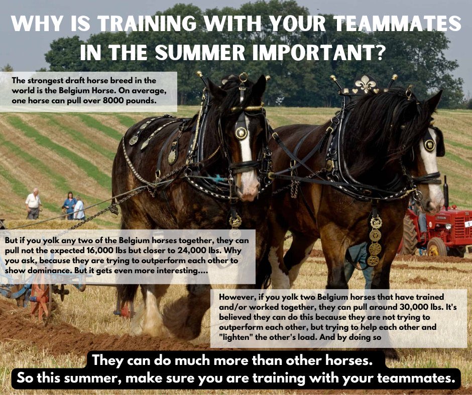 Rockhurst Basketball tweet media