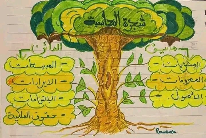 #شجرة_المحاسبة