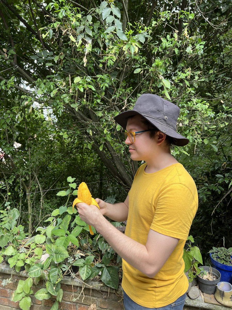 elciempies's tweet photo. Si me visto del color del mango no me puedo manchar 🥭 https://t.co/nFJWm5VFkY