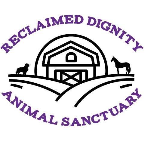 USLightEnergy's tweet photo. 🌞 Exciting News! 🌞 
We're partnering with #ReclaimedDignity #AnimalSanctuary Inc. to develop a #solarfarm on their property! Join us in creating a better future for our planet and furry friends. 🌿🐾 #RenewableEnergy #Sustainability #newproject 

https://t.co/gdF1b4RMN6 https://t.co/AbZzKbHlJr