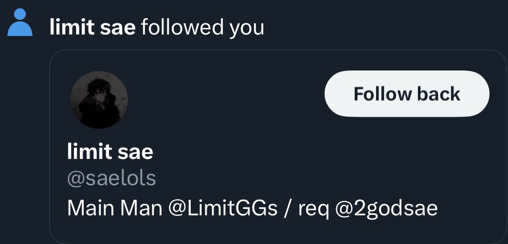 bears 🐻 tweet media