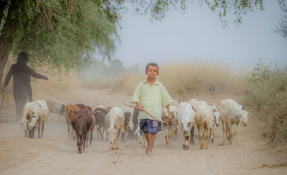 التغريبة التهامية.
 
#مع_تهامه_مستقله
#تهامه_حره