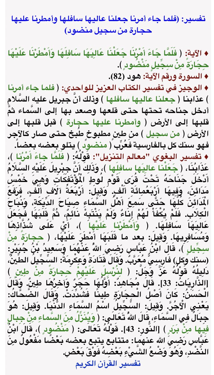 ﴿ فَلَمَّا جَآءَ أَمۡرُنَا جَعَلۡنَا عَٰلِيَهَا سَافِلَهَا وَأَمۡطَرۡنَا عَلَيۡهَا حِجَارَةٗ مِّن سِجِّيلٖ مَّنضُودٖ ﴾