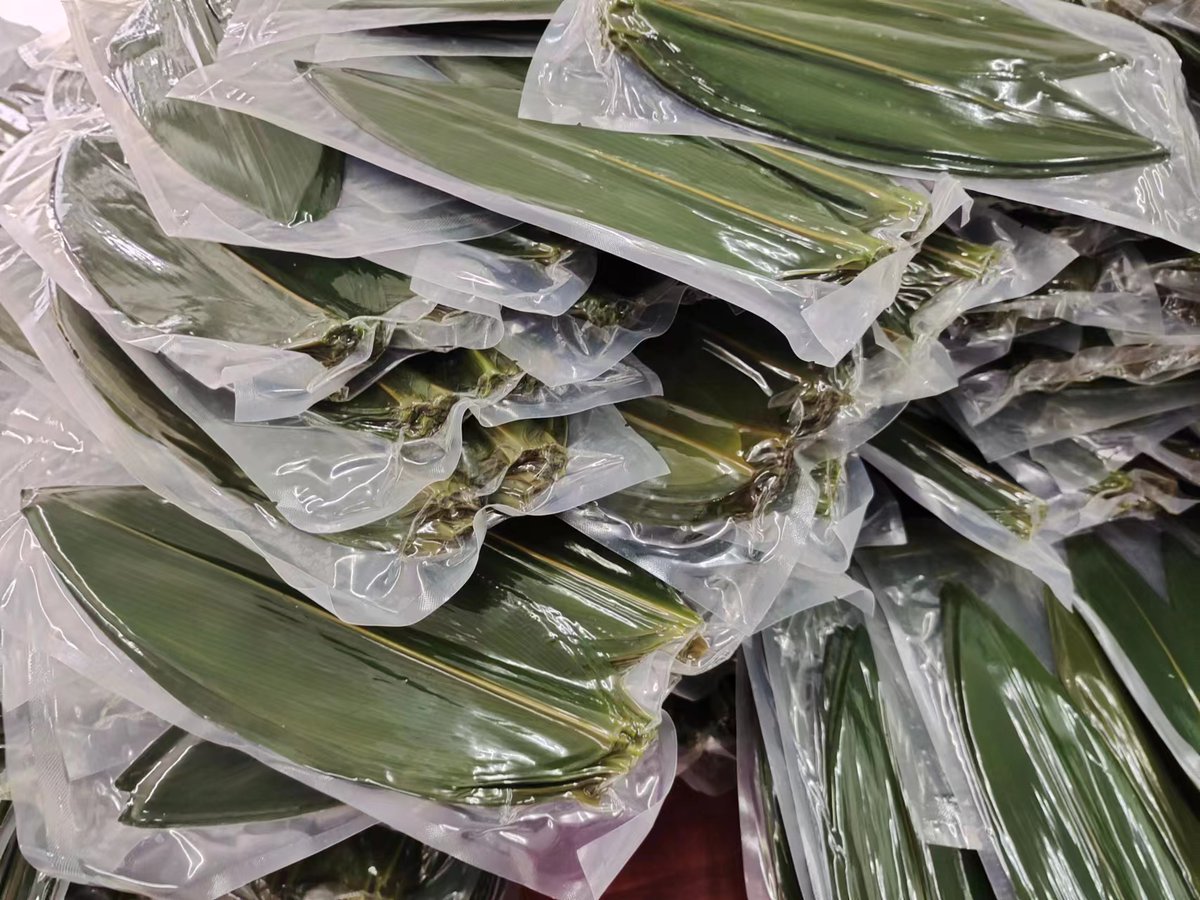 EnshiLtd68522's tweet image. Craving freshness? Dive into the delicate flavors of bamboo leaves for sashimi! Elevate your dining experience with the natural essence of bamboo, adding a unique twist to your favorite sashimi dishes. ✨ 
#BambooLeavesForSashimi #FreshnessUnleashed #SushiDelights #FoodieFaves