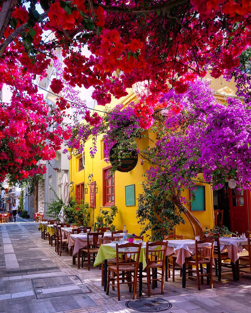 Colorful Nafplio, Greece

Nafplio is well known for its charming centre with neoclassical buildings. It was modern Greece's first capital and is considered one of the most romantic cities in the country.

📷 @anna_travelholic 

#Travel #Greece