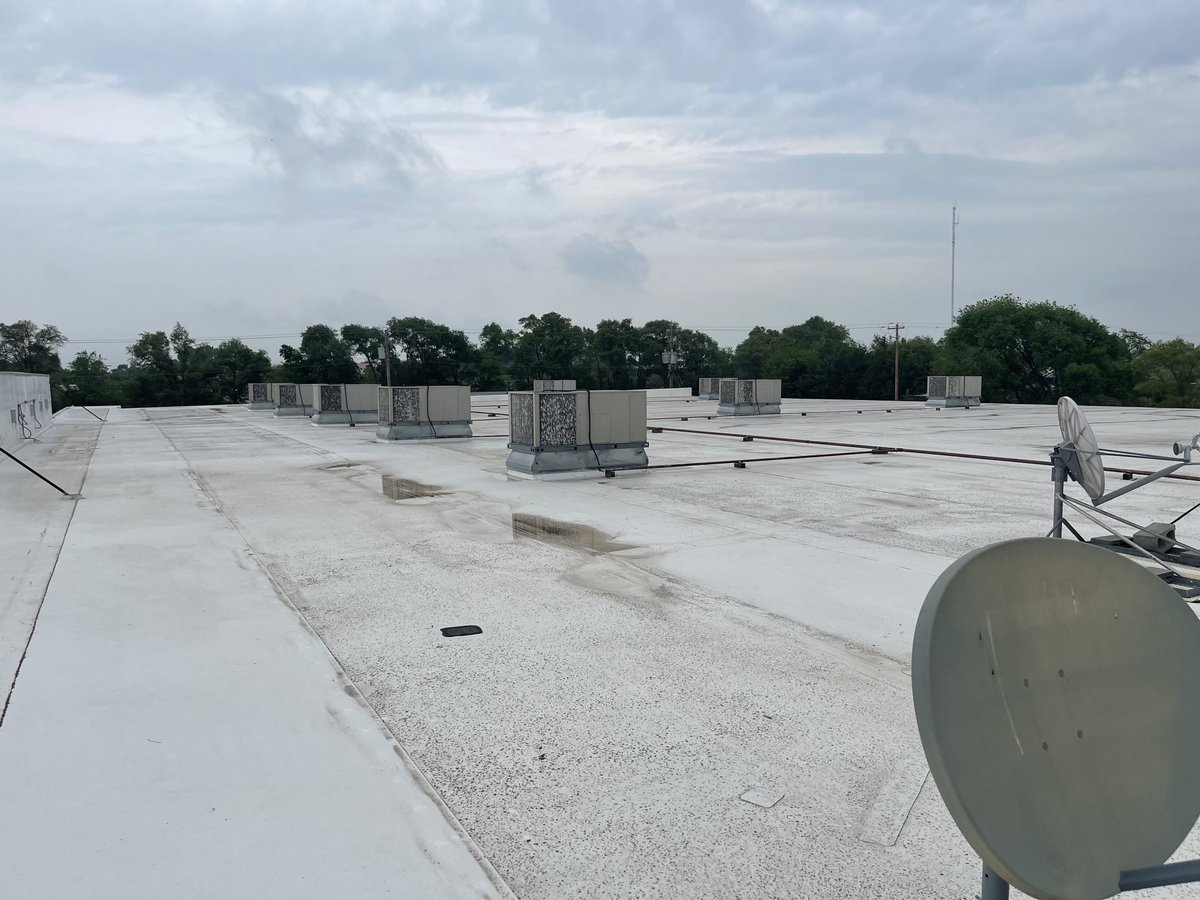 First time on the roof after buying this building 5 months ago.