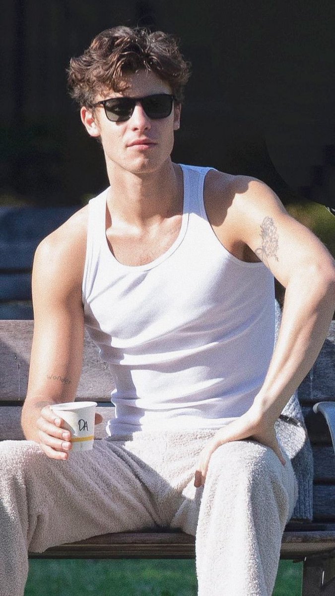 shawposts's tweet image. shawn mendes.
