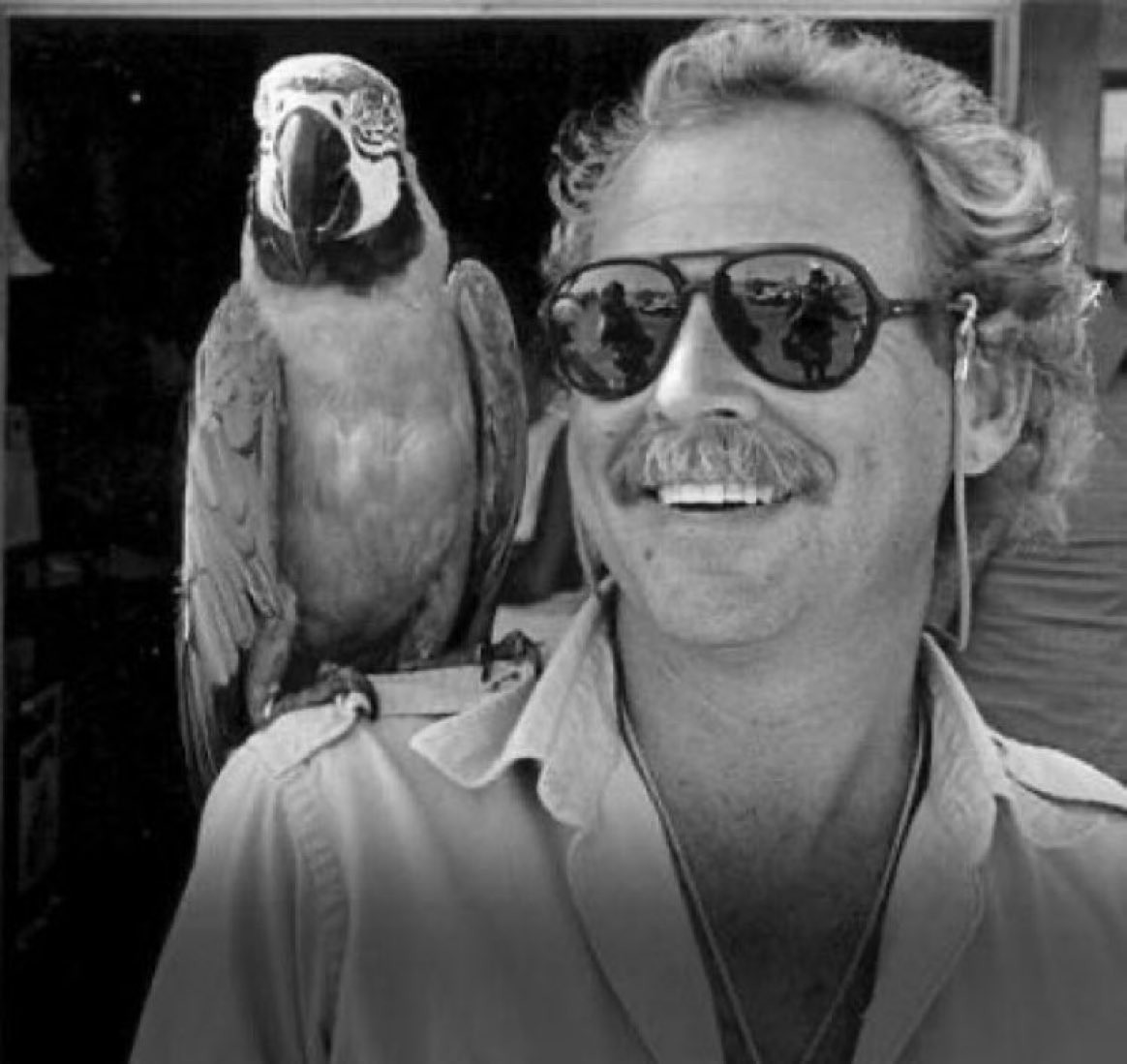 I'm not saying Jimmy Buffett enjoyed the 70s but that parrot knew three dozen words for marijuana.
