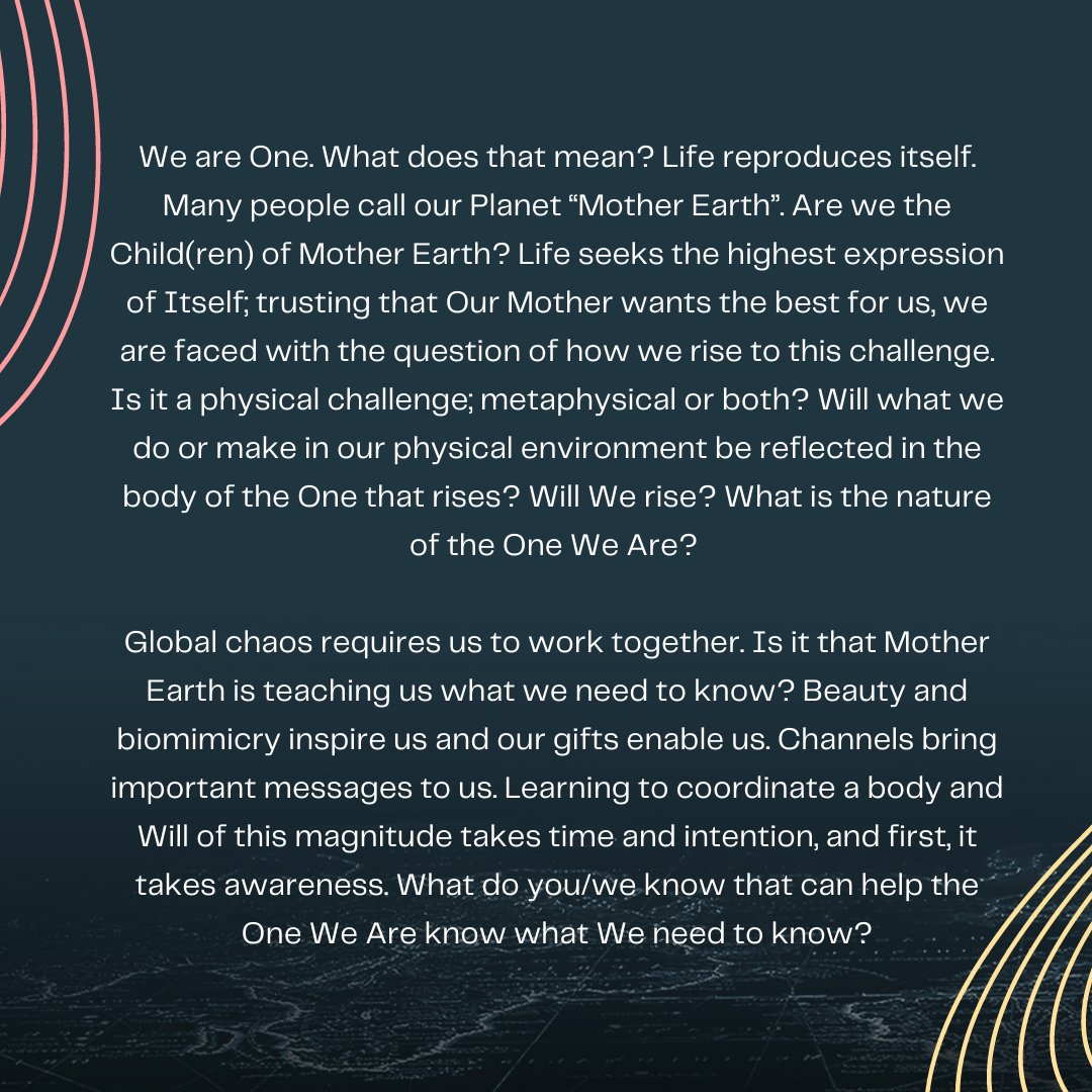 UNITY EARTH tweet media