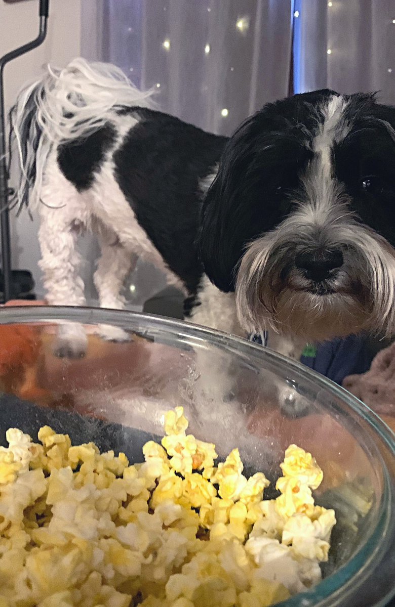 Movie moves:
1. Yawn stretch to put your arm around her. 
2. Slow creep toward corn bowl #lawless #bandit #dogsoftwitter