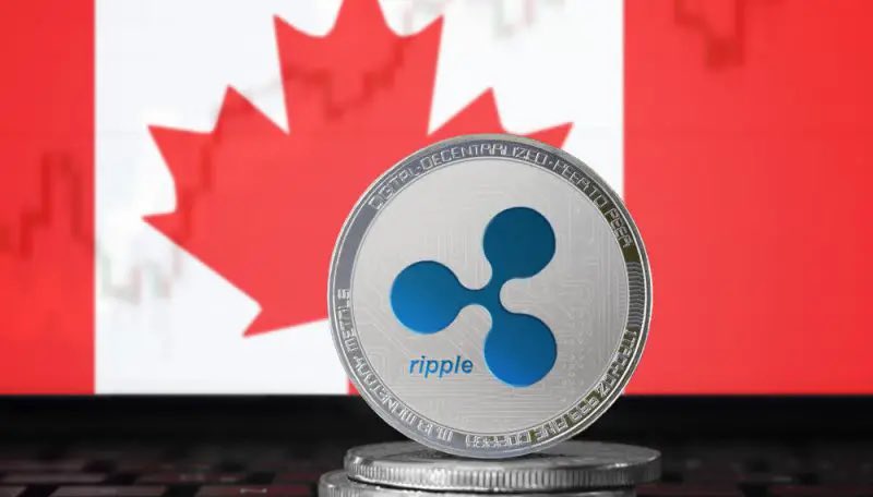 The University of Toronto #UOT plans to start an independent #XRP ledger validator, which primarily processes payments, in a new partnership with #Ripple.

This move seeks to support the next generation of the crypto industry.