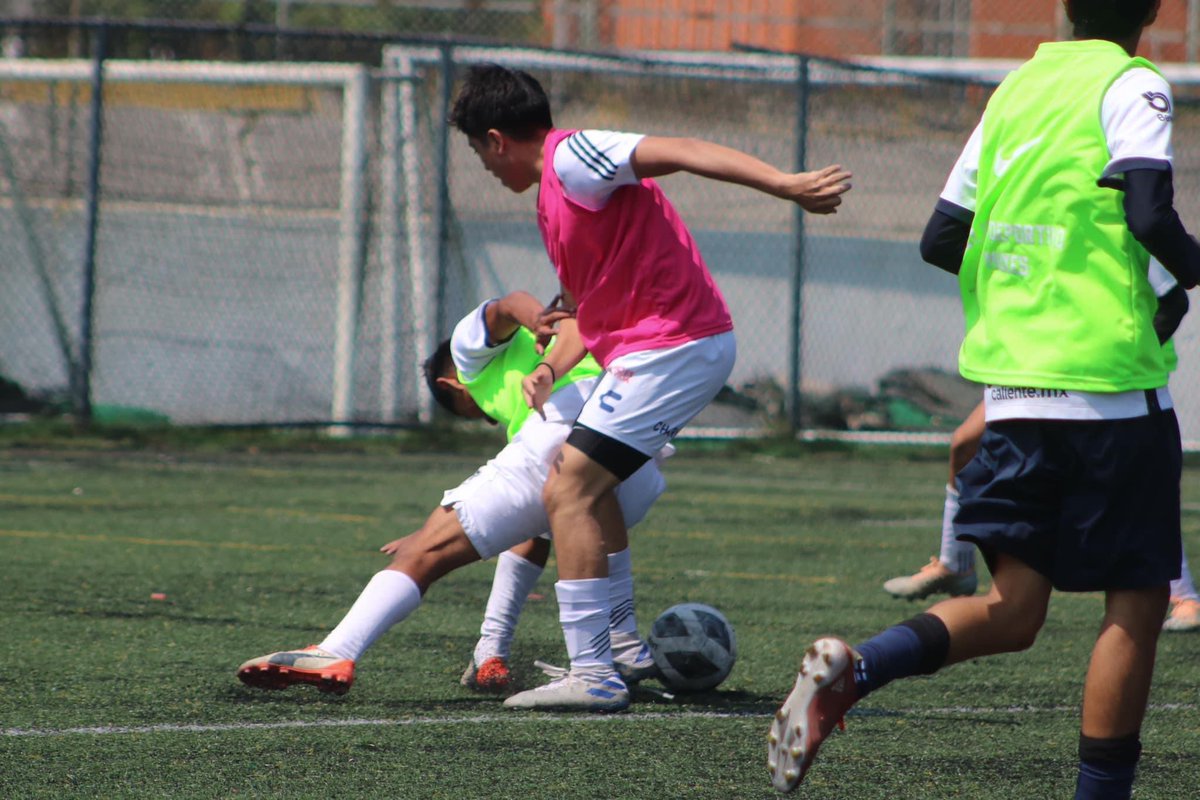 clubmuxes's tweet photo. ✅ VISORIAS EXITOSAS ✅

Agradecemos a los más de 300 jugadores registrados que después de 5 días de visorias se entregaron para pertenecer a la institución🫶🏻

Felicitamos a los 22 jugadores que pasaron al siguiente filtro👏🏼
@LigaTDP 

#PorUnDeporteSinEtiquetas 🏳️‍🌈🏳️‍⚧️
#PrideNetwork https://t.co/3Wz6OU4eaw
