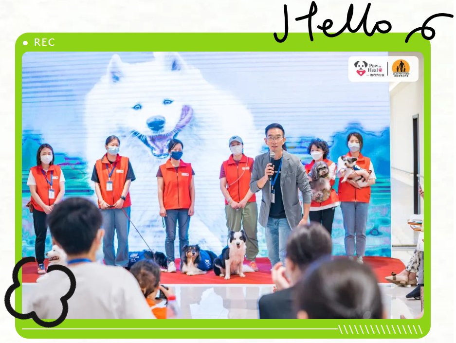 The 3rd #Shanghai #Fengxian #Pet Day took place on June 10th and it offered a mix of 'pet show+#camping+#socializing+#bazaar.' Attendees enjoyed a range of exciting activities including the inauguration of the country's first #AnimalAssistedTherapy course.