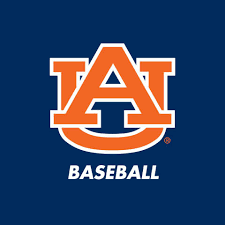 SJR State Baseball tweet media