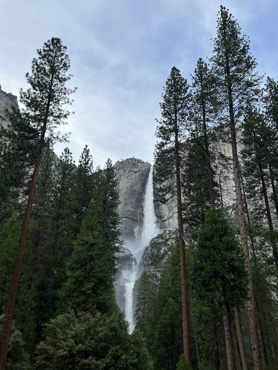 BernieC7's tweet photo. I made a quick visit this past weekend to Yosemite National Park. Lots of water coming down all the waterfalls and the Merced River. #yosemitenationalpark #yosemite https://t.co/3NlKSA4C9i