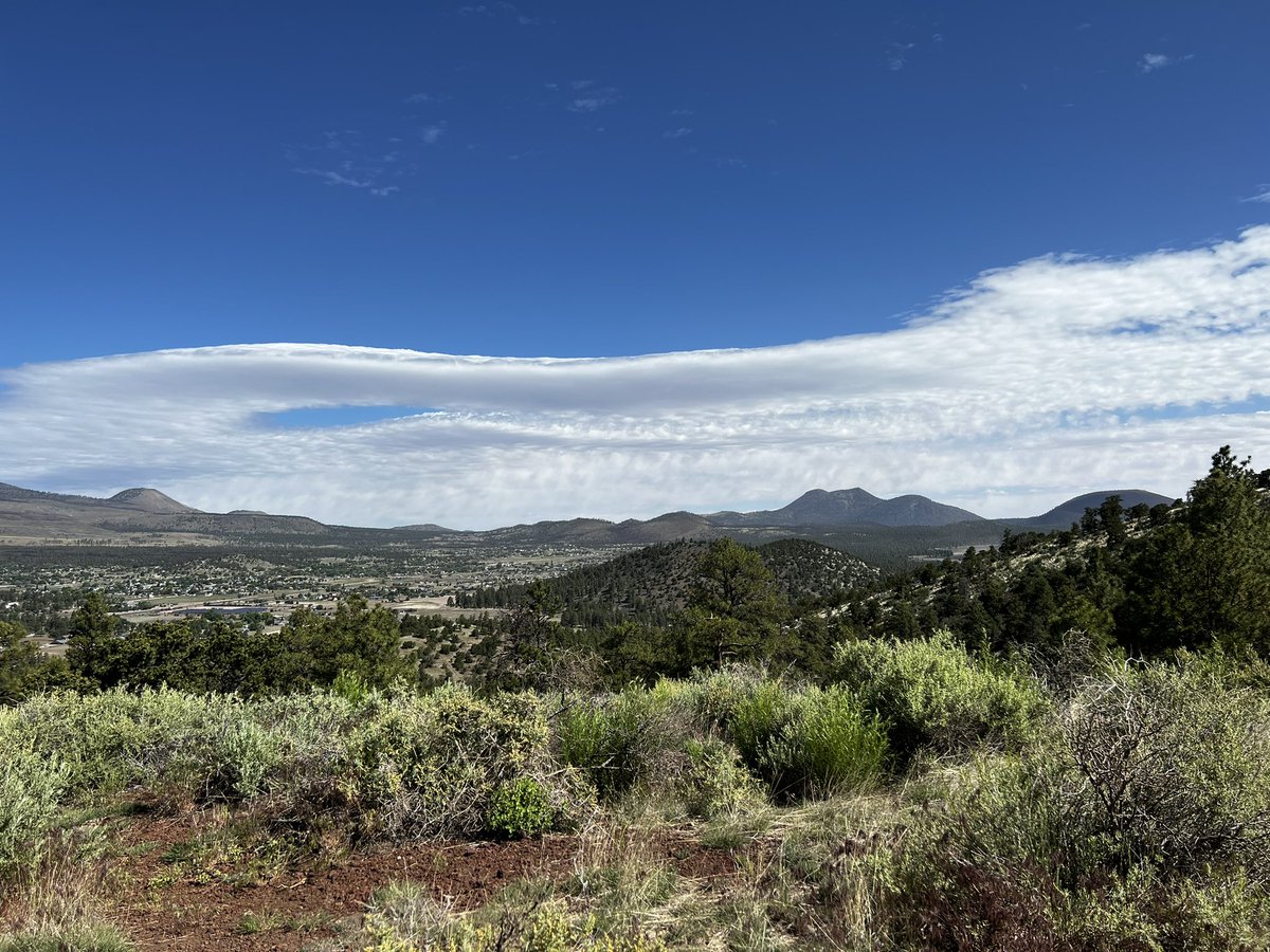 TM_10tori's tweet photo. Enjoyed a weekend North to visit #nonprofit partners who do so much for our #customers &amp; #communities. Special thanks to @APS_Janet who truly is a gem &amp; makes a difference every day on behalf of @apsFYI  - pics from weekend hikes amongst the beautiful pines &amp; aspens #AZAwesome https://t.co/SRkxkigKwJ