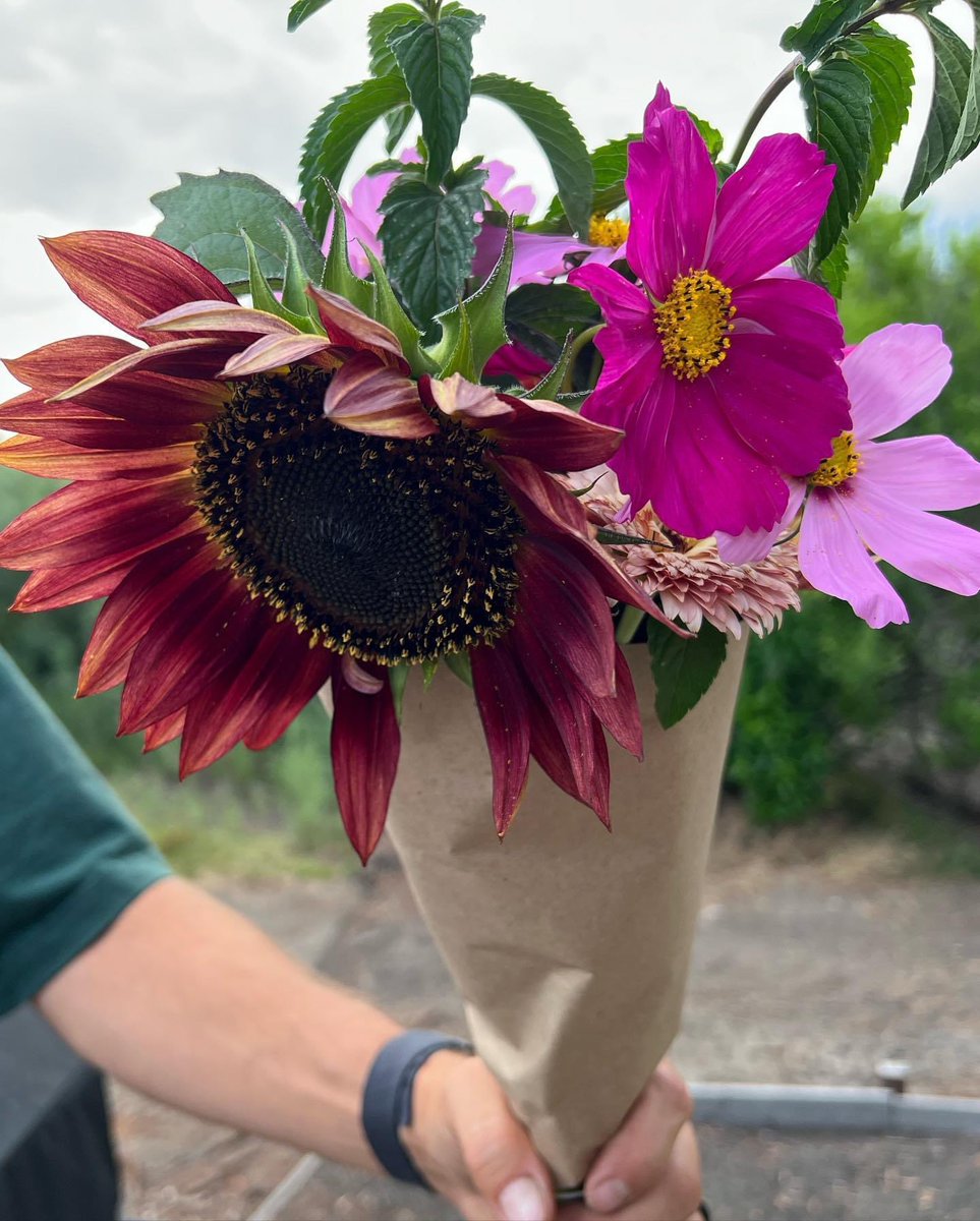 PlacerGROWN's tweet photo. Check out what Oakside Farms is bringing to the Tuesday Fountains at Roseville farmers market! 🌸 Shop 8:30 am to 1:00 pm, every Tuesday, year-round.  https://t.co/27bt7GSgWQ https://t.co/pJt6jUq2SS