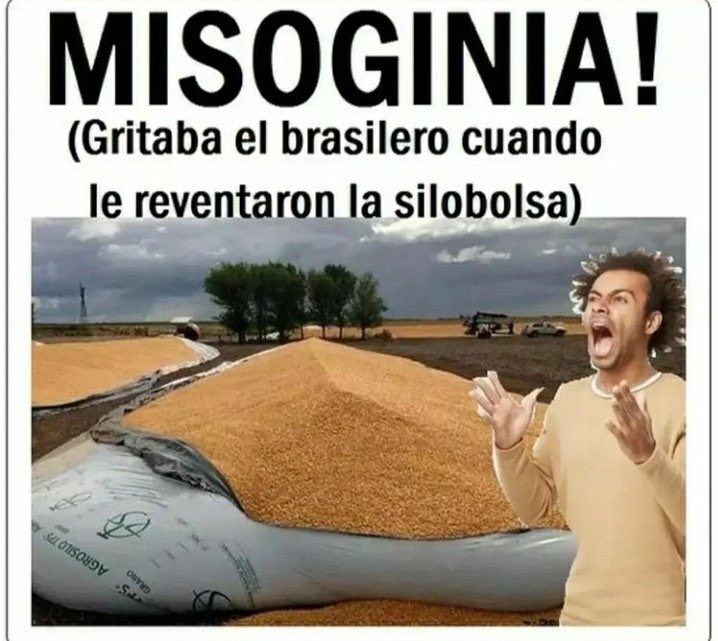 Yo leo misoginia y me acuerdo de este meme. Me arruinaron.