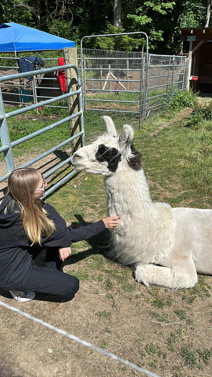 Best friends #llamas #BestFriend #cute #farmgirl #animalfriends