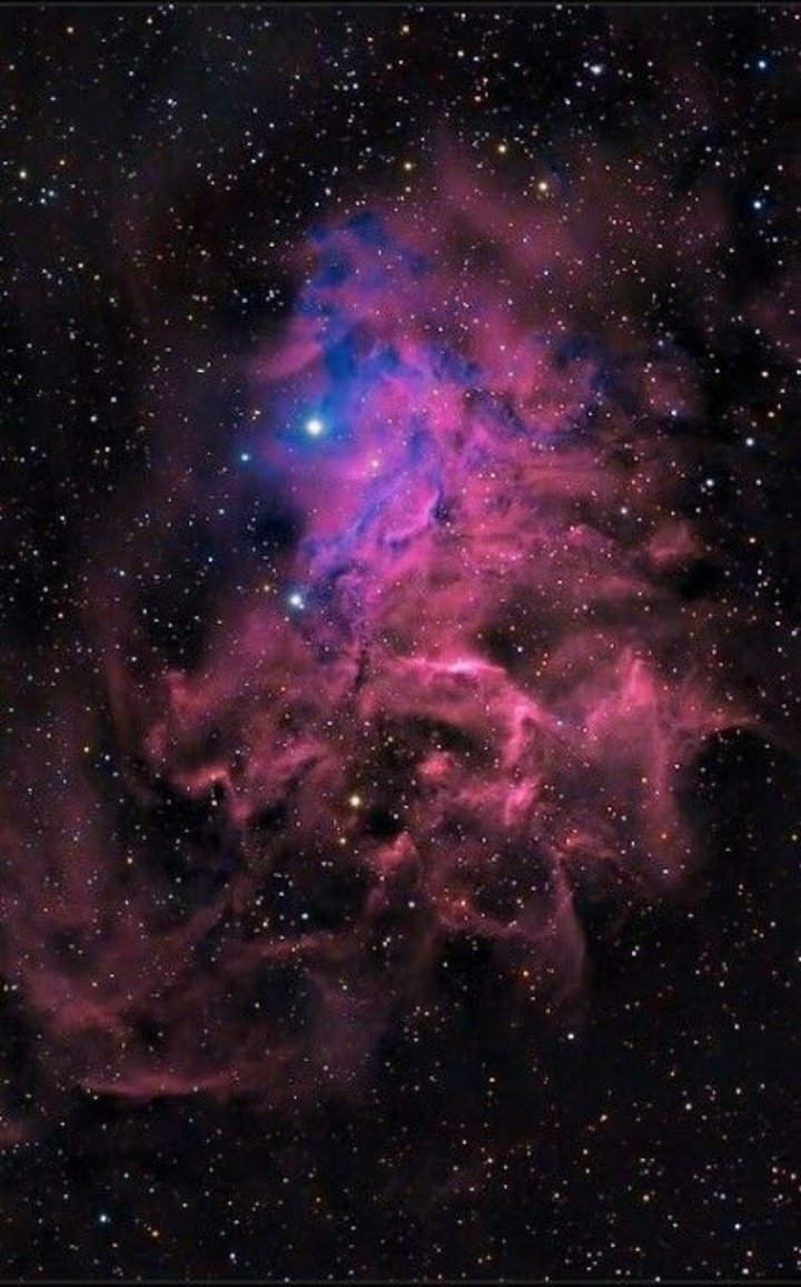 IC405 Flamingo star Nebula  twitter.com/intent/tweet?u…