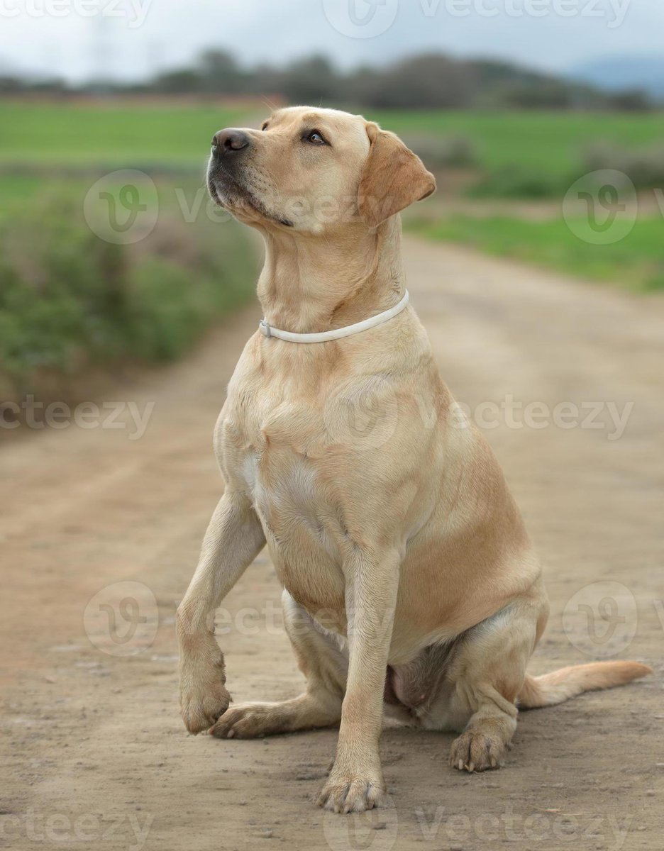 Mad Karin Studios tweet media