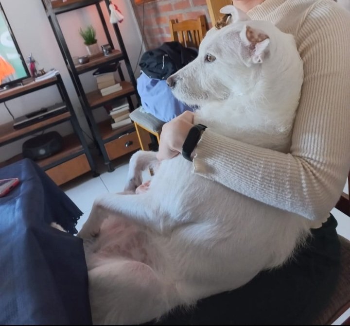 MagaaF8's tweet image. 