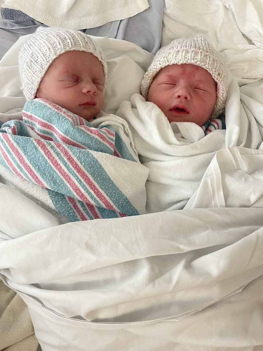 Scott MacDonald tweet media