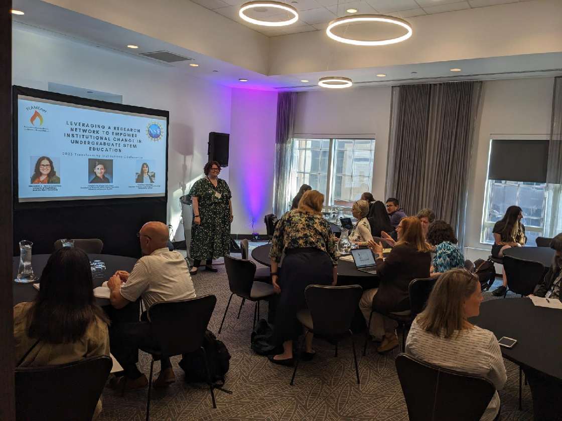 FLAMEnet tweet media