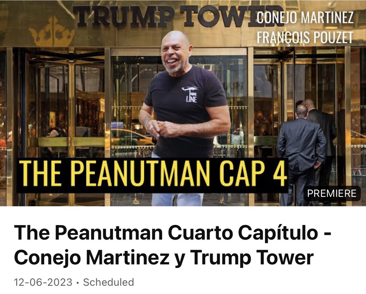 Hoy cuarto capitulo de THE PEANUTMAN, la vida de Conejo Martinez en Nueva York. Estreno 19:00 horas youtu.be/kPql8IWgFrE