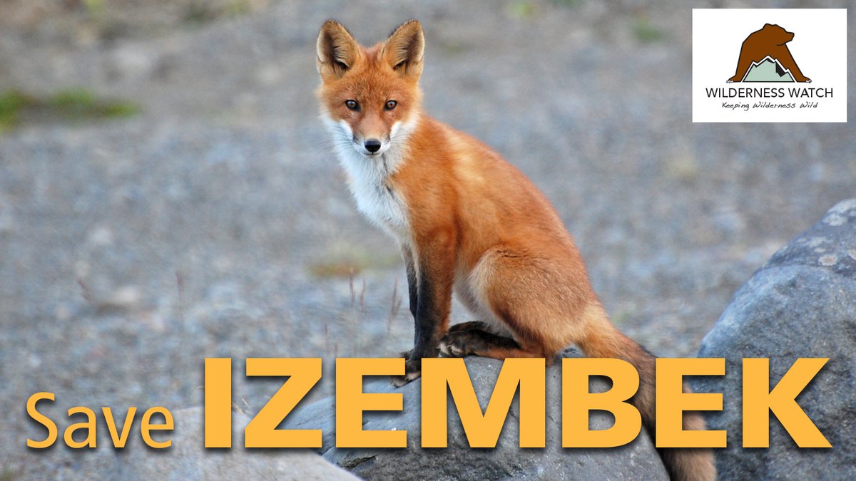 WildernessWatch's tweet photo. Raise your voice!

The Izembek Wilderness in Alaska is in the crosshairs, yet again.

Take action by June 20 right here: https://t.co/IxW2wE0Fc1

#KeepItWild #SaveIzembek https://t.co/J6hlOgMiXA