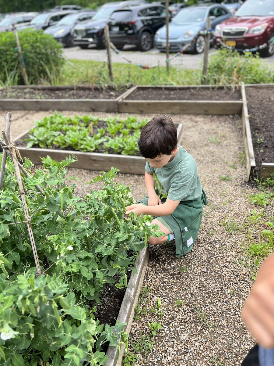 Amber Rago tweet media