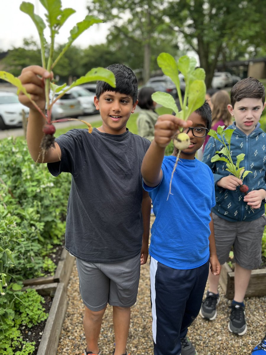 Amber Rago tweet media