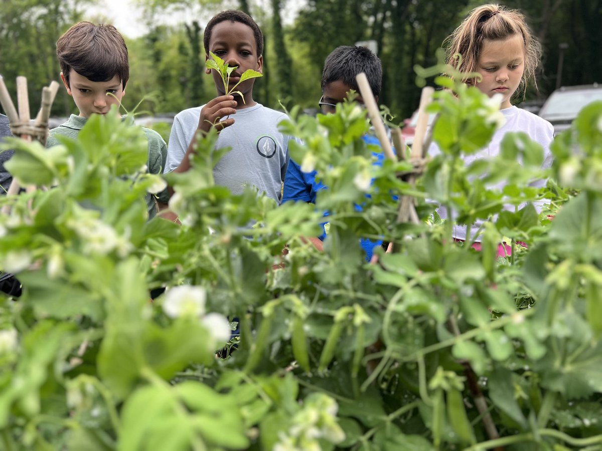 Amber Rago tweet media