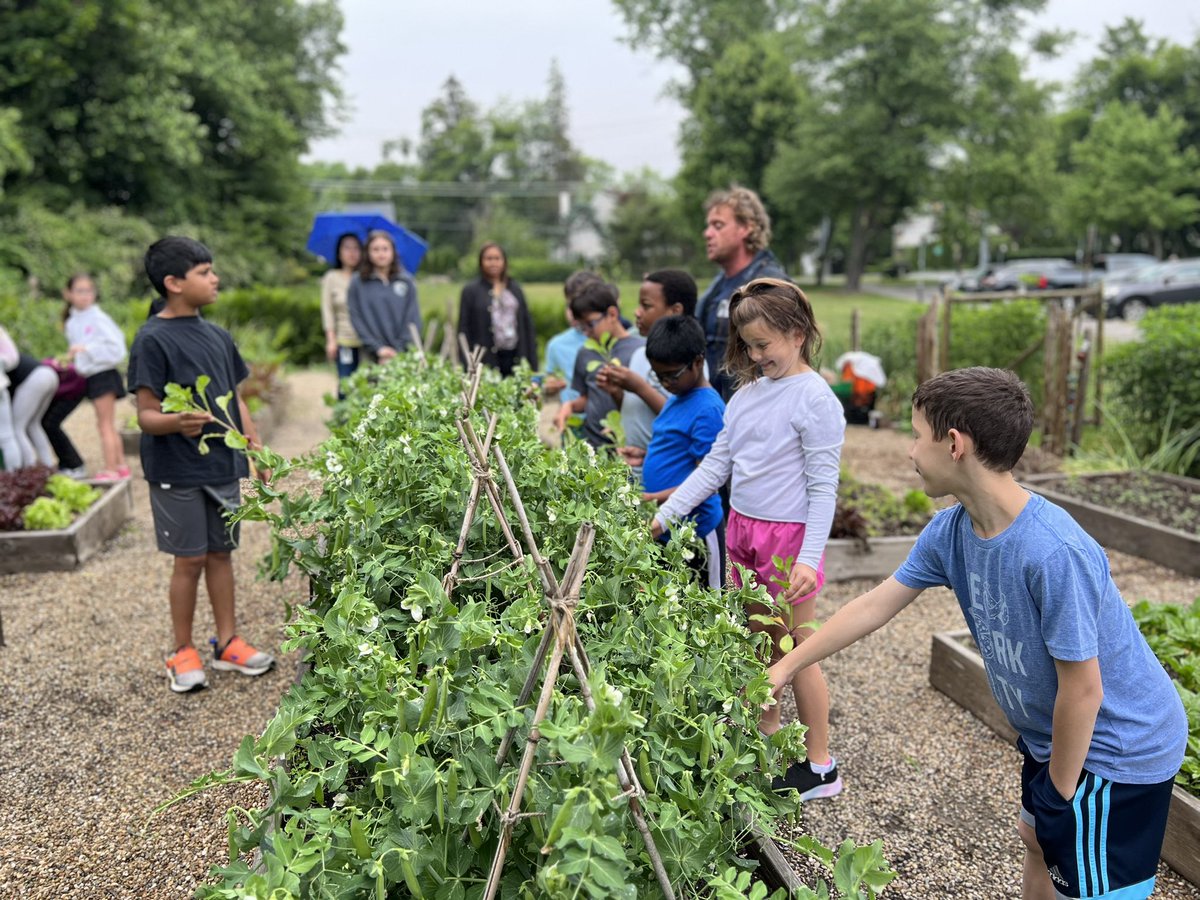 Amber Rago tweet media