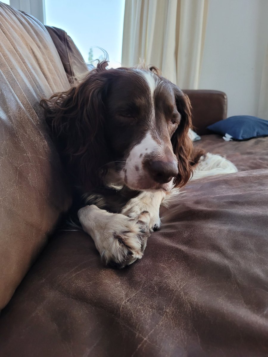 Jennifer Williams tweet media