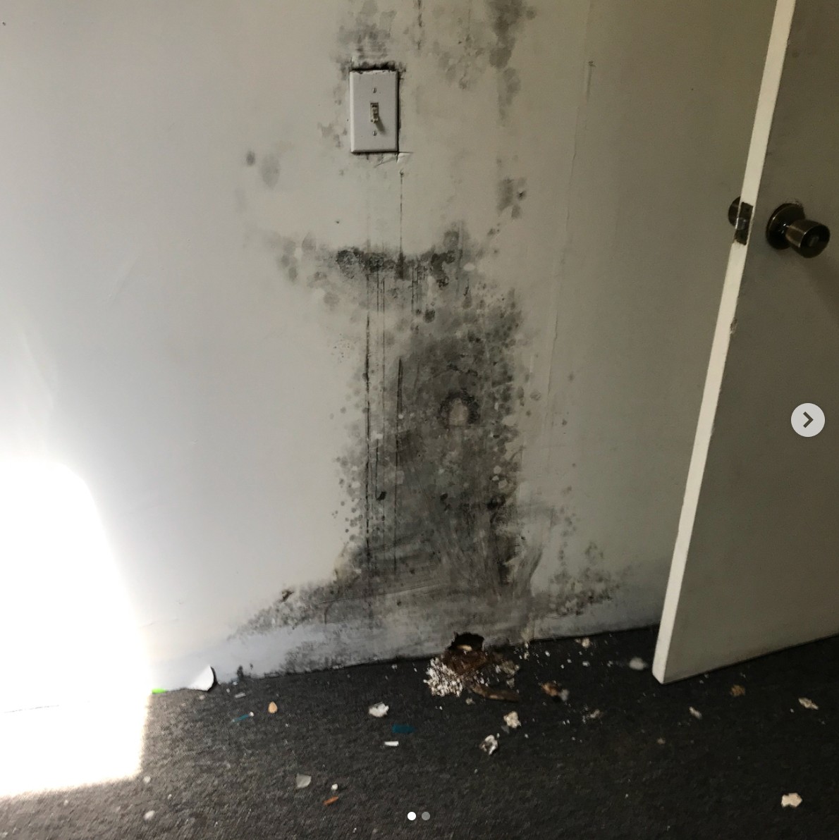 Ask about our mold inspection service, as a standalone or added to any property inspection for an additional cost. Find out more by visiting our website at inspectaproperty.com/mold-inspectio…

#home #inspection #socalrealestate #homeinspector #moldinspection #moldinspector #blackmold #mold