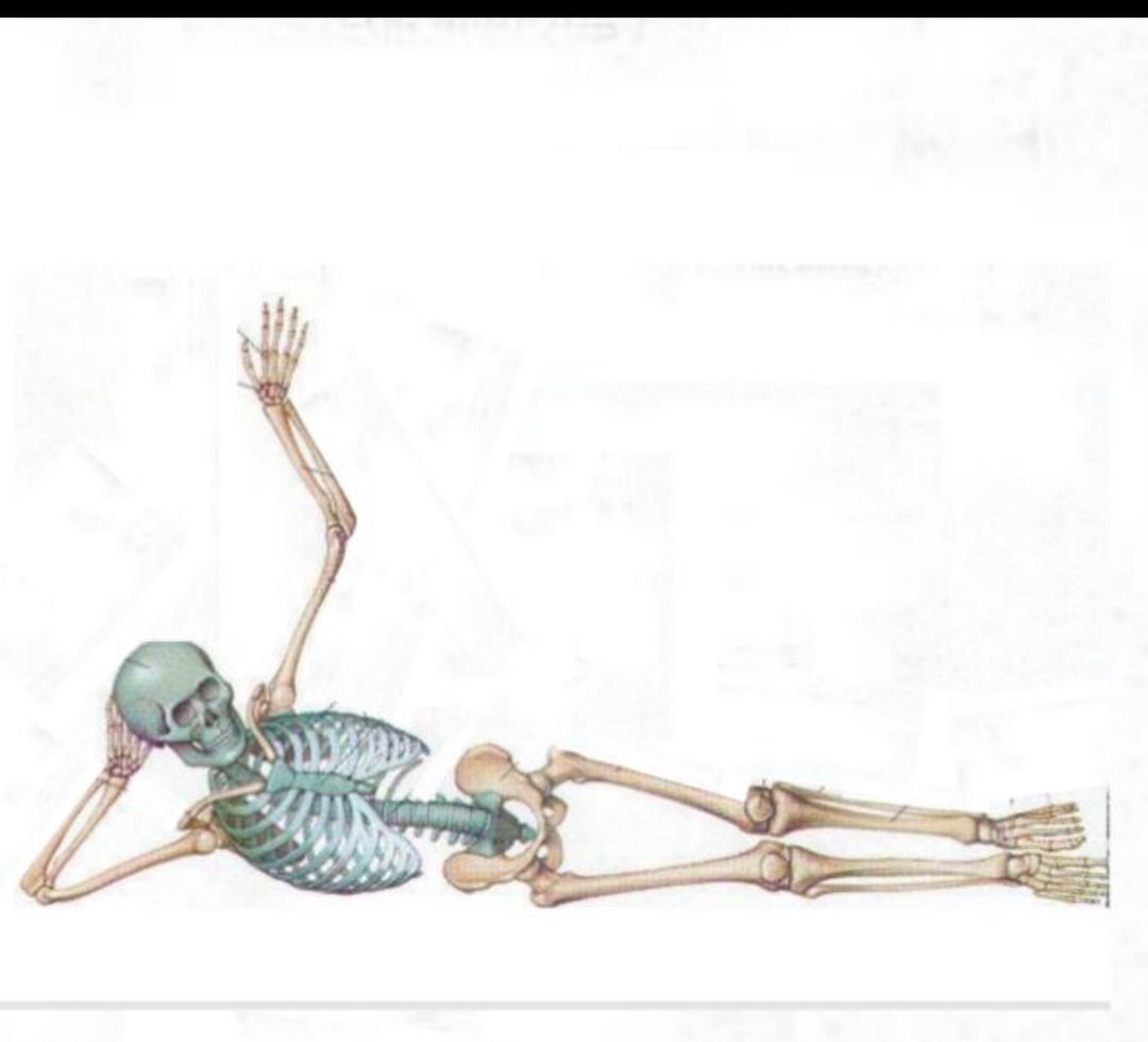@Karth_meen @VNwalieoba @voweokpovure Osteology of UL  says hello 🤣🤣🤣🤣