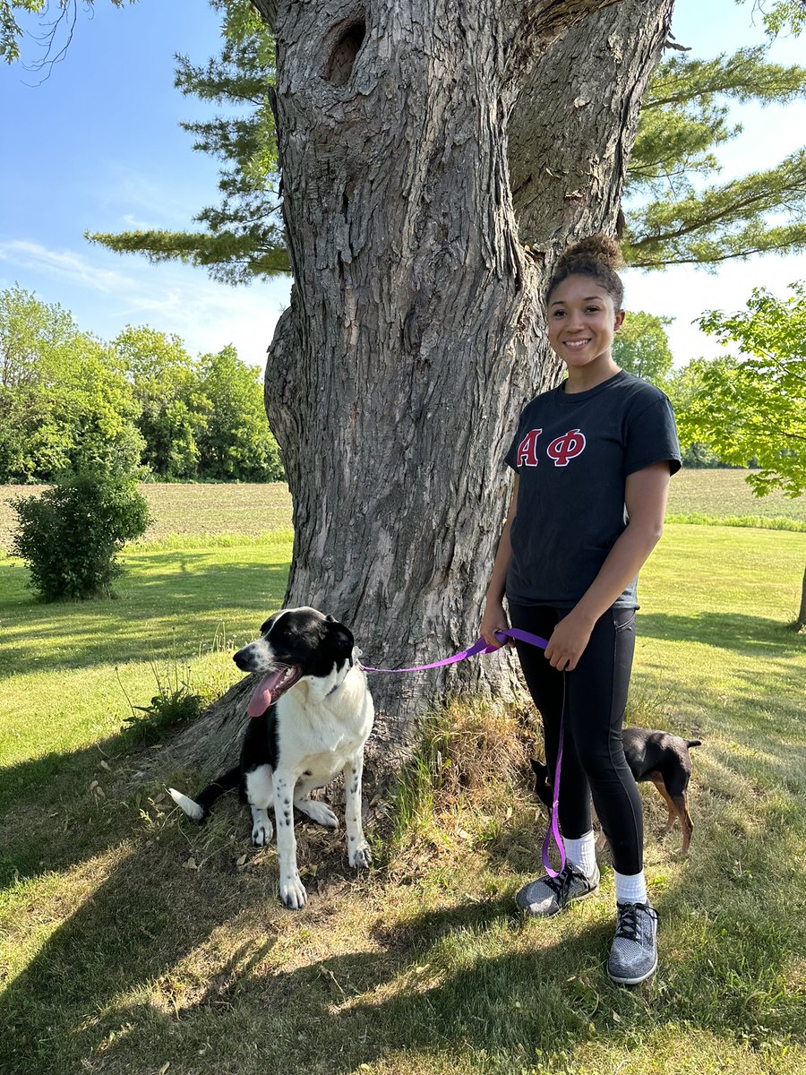 sunnysboarding's tweet image. 🌾 Farm life is the best life, just ask our mixed hound friend here at Sunny's Dog Boarding and Daycare in #Mequon, Wisconsin! 🐶 Sun-filled days, farm-fresh air, and endless adventures with Sunny 🌞 - we're making every dog's day exceptional! #DogDaycare #DogBoarding #FarmFun 🐾