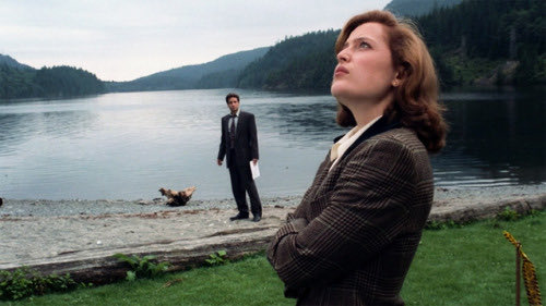 FOX MULDER: Over 20 reported killer whale attacks in the month of May. The whales worked in tandem. Do you know what this means, Scully?

DANA SCULLY: No. 

FOX MULDER: The attacks were orca-strated. Scully? Did you hear me? They were or-

DANA SCULLY: I’ll be in the car, Mulder.