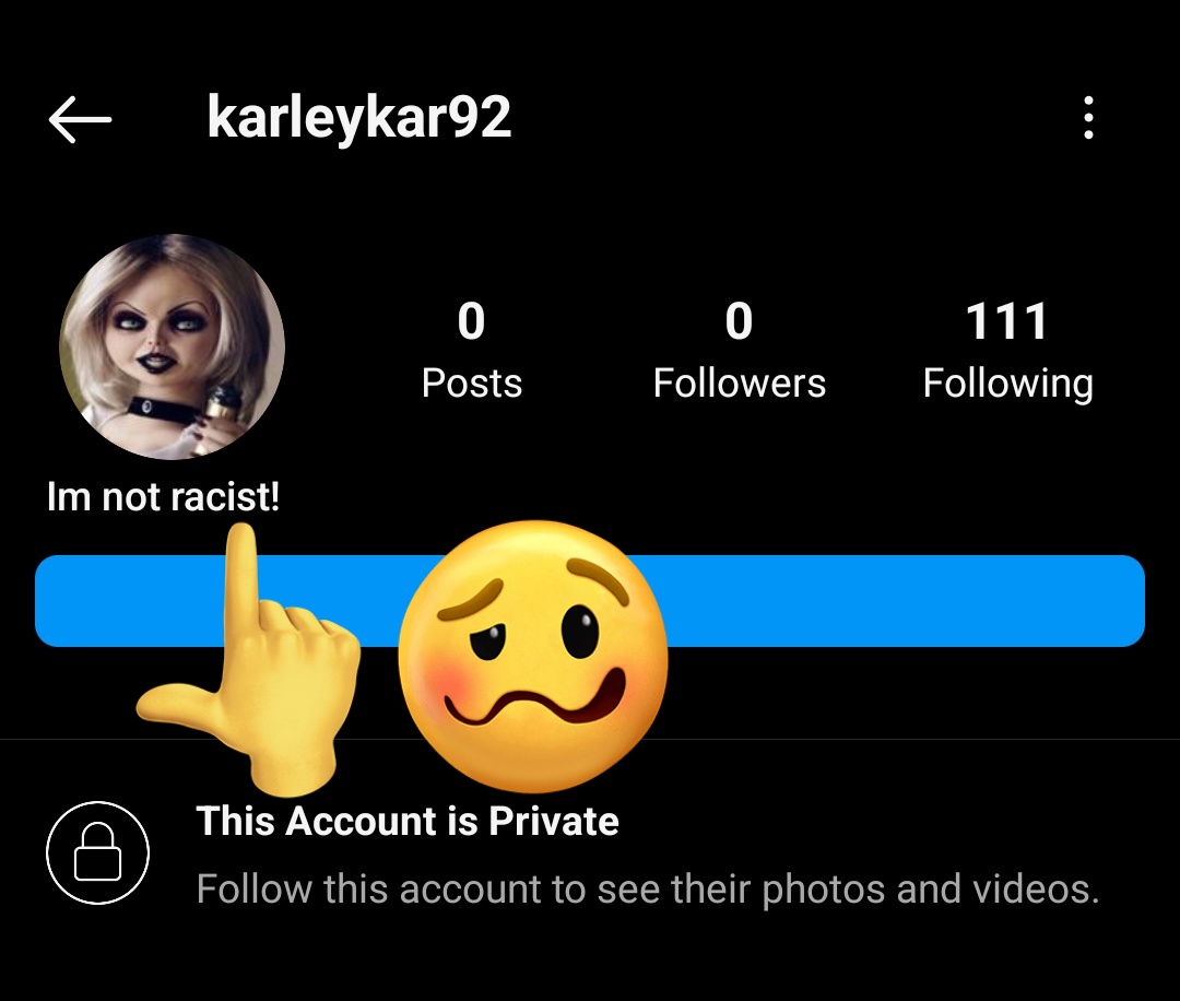 <a href="/notcapnamerica/">chris evans</a> She's changed her bio to "I'm not racist!" 😭🤣 The exclamation point at the end seeing how she was screaming the hard R with all the exclamation 🥴