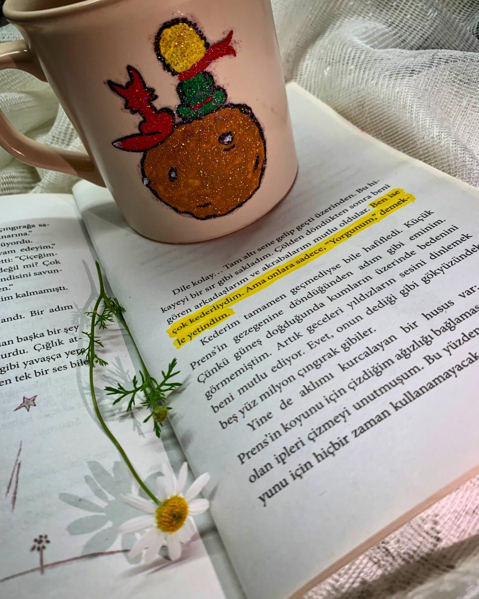 Ben ise çok kederliydim. Ama onlara sadece ,’Yorgunum’ demekle yetindim.
#kardeşemeği