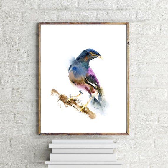 Myna Bird Watercolor Print, Wild Bird Painting etsy.me/3nPbUwb #mynabird #wildbird #birdartprint #birdprint #watercolorbird @etsymktgtool