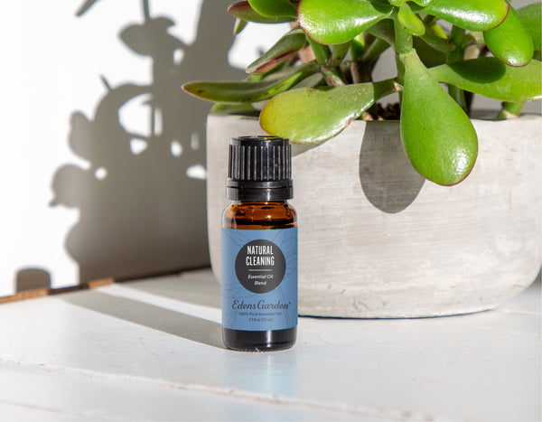 EssentialOilDad's tweet photo. Natural Cleaning Made Easy with Our Essential Oil Blend #essentialoils #DIY #aromatherapy https://t.co/wmbs0K37Rb https://t.co/7F2BgXJWZC