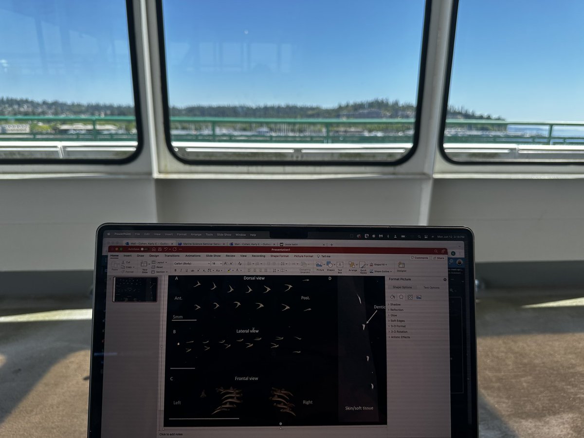 Dr. Karly E. Cohen tweet media