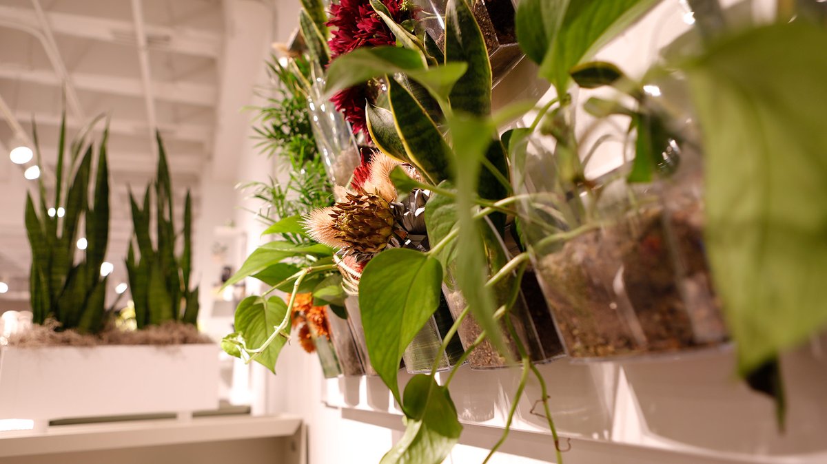 MagnusonGroup's tweet image. Day 1 of @NeoCon_Shows! If you’re in Chicago, come stop by to see Magnuson Group on the 11th floor in showroom 1170. With a revamped space and new product introductions on display, we are eager to see you!

#NeoCon2023 #TogetherWeDesign