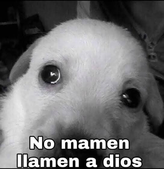 LaTayMexicana's tweet photo. Yo viendo como mis 50 correos se quedan en lista de espera https://t.co/KFsxLooXTV