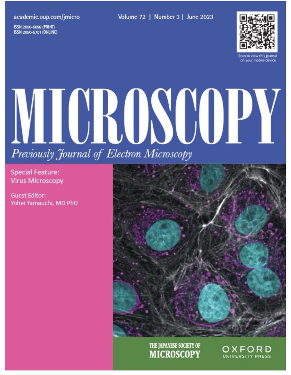 Yohei Yamauchi (@yamauchilab) on Twitter photo I was lucky to guest edit a Special Feature: Virus Microscopy for the journal Microscopy. Review by S. Padilla-Parra (HIV-1 transmission); T. Noda (filovirus structure); <a href="/Chr_Sieben/">Christian Sieben</a> orthohantavirus imaging); U. Greber (label-free microscopy). See issue 👉
academic.oup.com/jmicro/issue/7… I was lucky to guest edit a Special Feature: Virus Microscopy for the journal Microscopy. Review by S. Padilla-Parra (HIV-1 transmission); T. Noda (filovirus structure); <a href="/Chr_Sieben/">Christian Sieben</a> orthohantavirus imaging); U. Greber (label-free microscopy). See issue 👉
academic.oup.com/jmicro/issue/7…