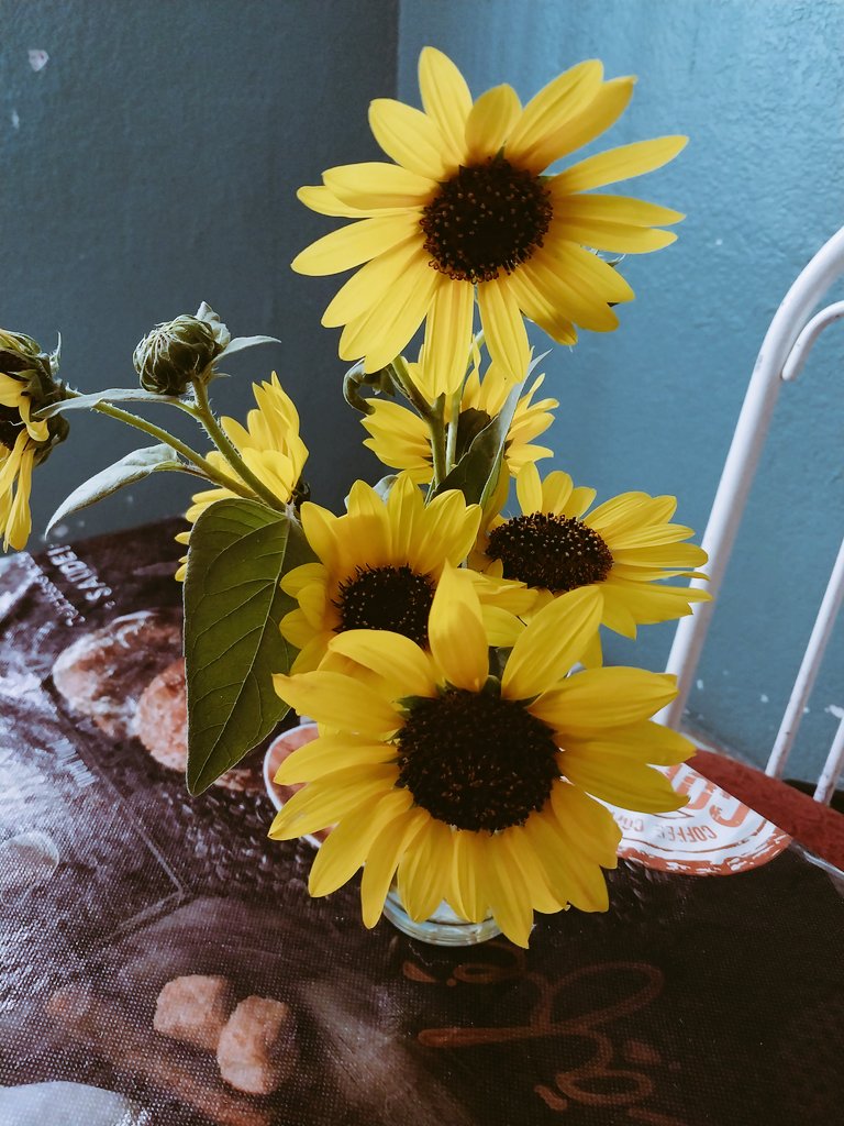 brenditha0111's tweet photo. Alguien cortó flores para mi😍🌻🌼 #MiTiti🐥 https://t.co/gkmOFONAKW